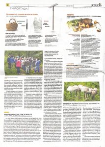 Recorte de prensa del suplemento Estela, de Faro de Vigo, sobre las propiedades nutricionales de las setas cuenta con la colaboración de FIX Salud y Deporte.