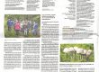 Recorte de prensa del suplemento Estela, de Faro de Vigo, sobre las propiedades nutricionales de las setas cuenta con la colaboración de FIX Salud y Deporte.