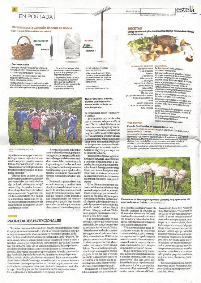 Recorte de prensa del suplemento Estela, de Faro de Vigo, sobre las propiedades nutricionales de las setas cuenta con la colaboración de FIX Salud y Deporte.